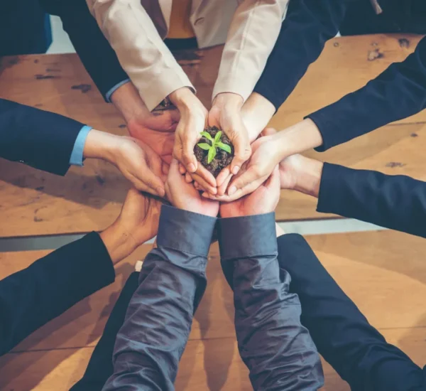 Sustainable Business Ideas for Responsible Growth